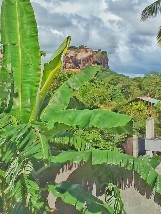 Rithu Homestay Sigiriya Exterior photo